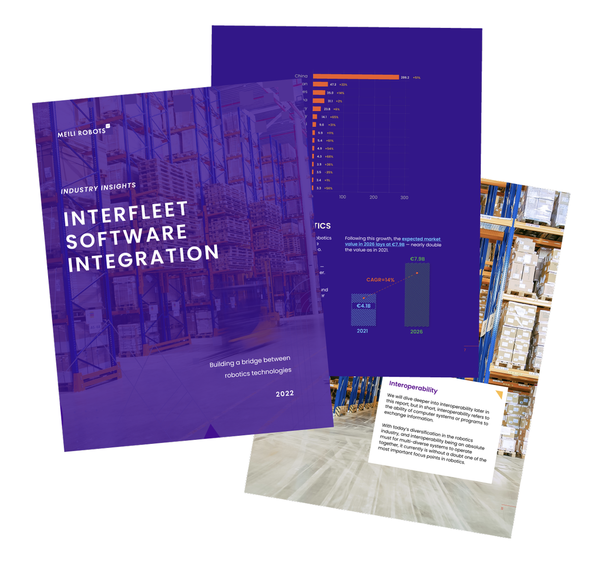 Interfleet Software Integration