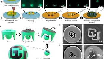 3D Printing Customizable Microbots 500x Thinner Than a Strand of Hair