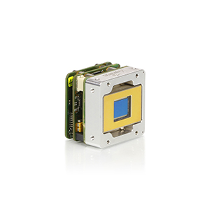 XSW Gated Series Image
