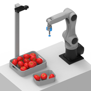rc_reason ItemPick Software Module Image