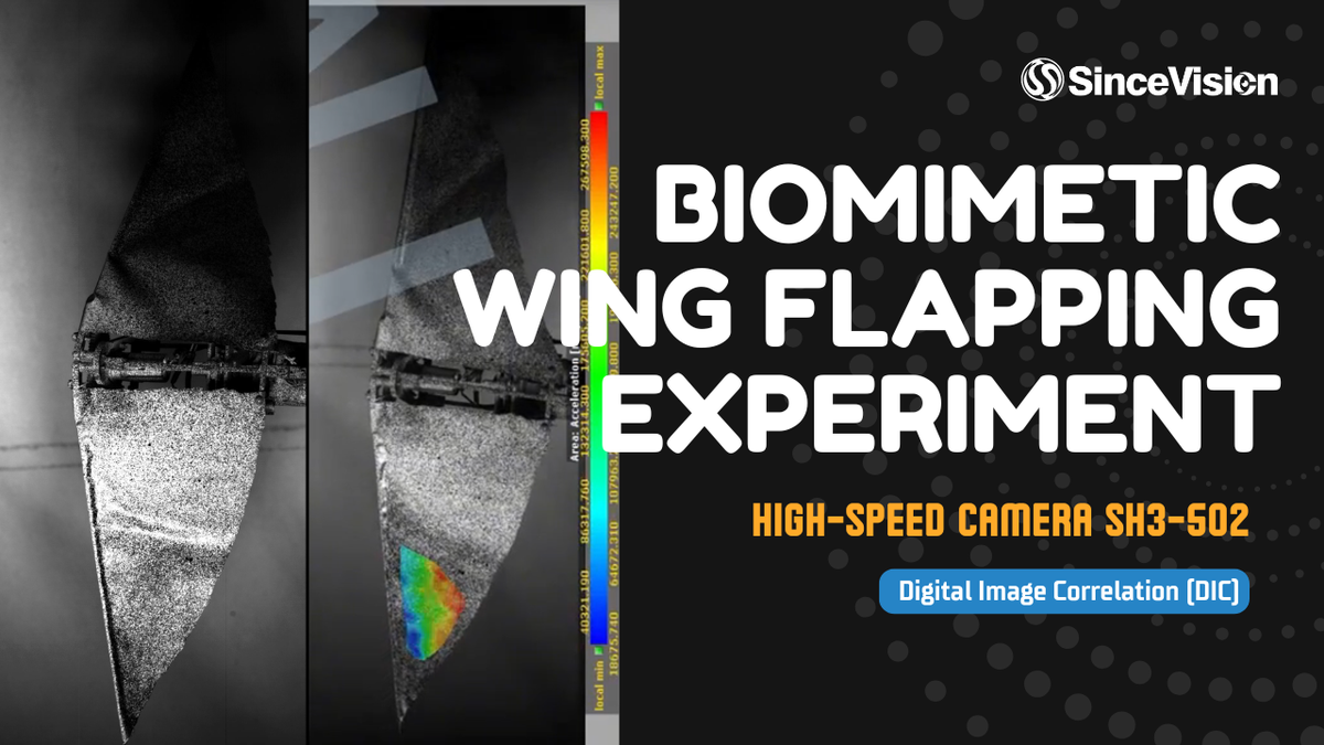 Researchers From Jilin University Capture Hidden Flaw in Flapping Wings Using SinceVision High-Speed Camera, Opening New Paths for Smarter Drones