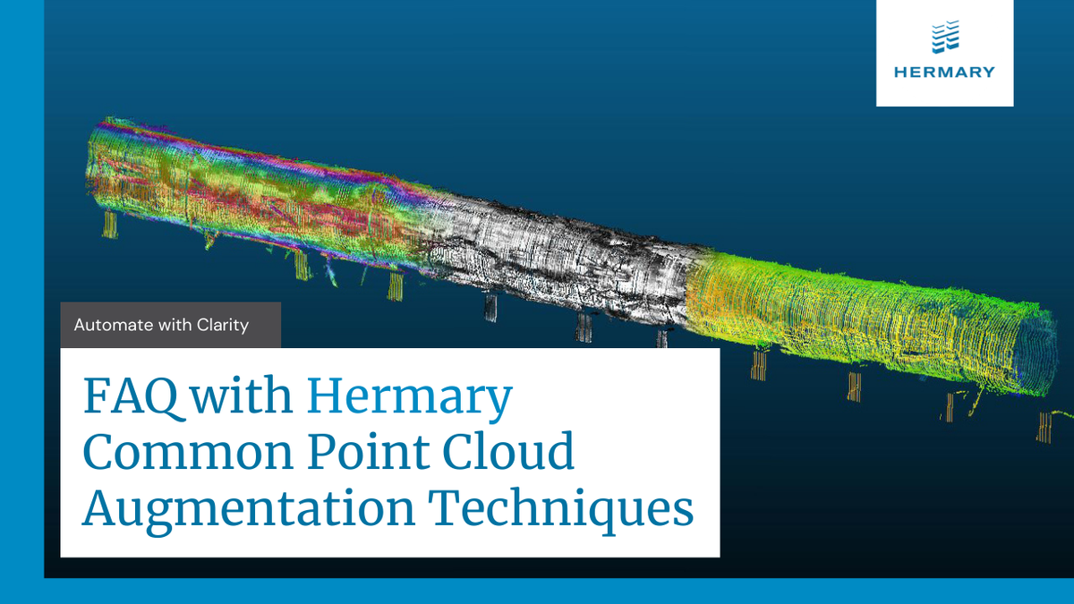 What are some common Point Cloud data augmentation techniques?