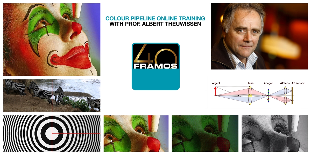 Online Training: