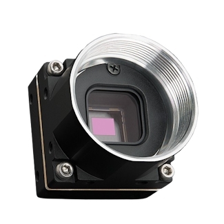 Firefly DL Image