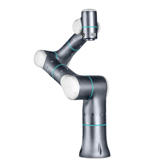 Image of Rizon 10
