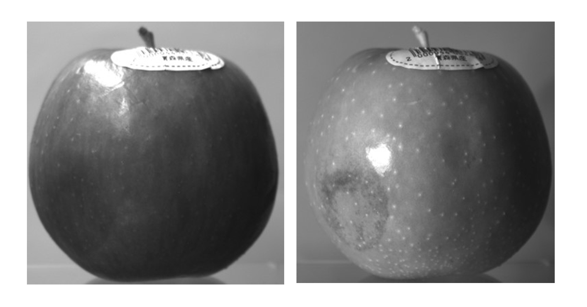 Webinar Image