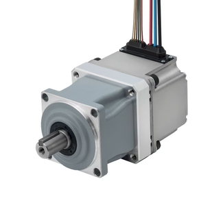 24V Geared Brushless DC Motor Image