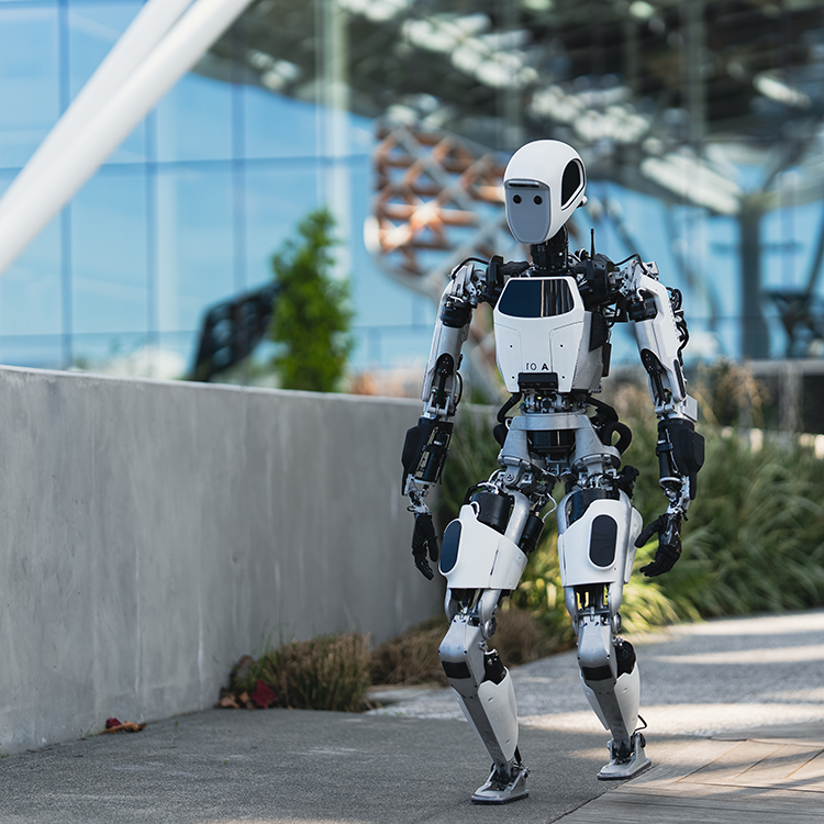 Deploying Humanoids in Industry: Form Factors, Applications, Successes