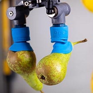 Fruit handling suction cup Image