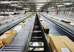 Case, tote and polybag  conveyor systems Image