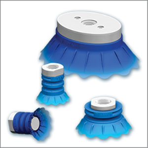Image of Coval Vacuum Cups