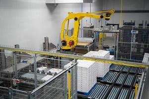 Palletizing and Depalletizing Image