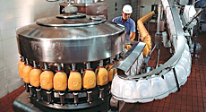 Industries Serviced by Rockwell Automation Image