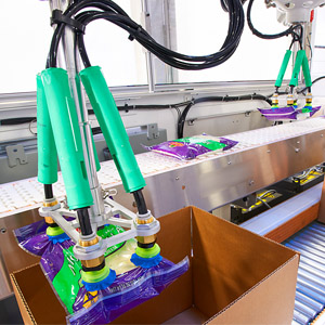 Picking & Packaging System Automation Image