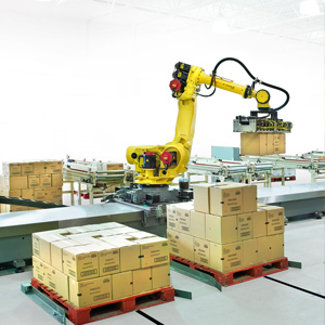 Robotic Palletizing & Depalletizing Systems Image