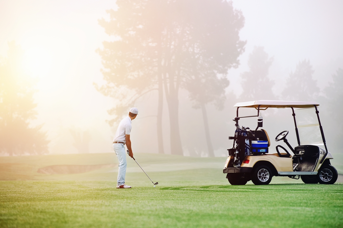 Golf Cart & Buggy Motors