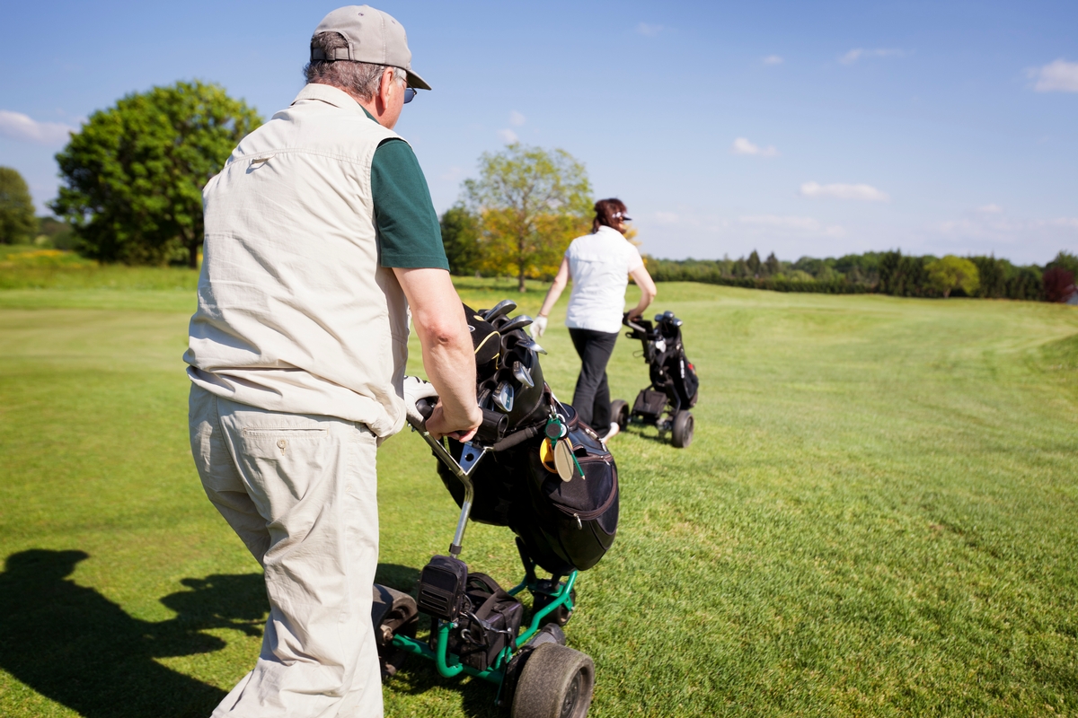 Golf Trolley Motors