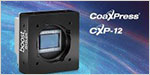 Basler boost: CXP Cameras with 20, 32, and 45 MP Resolution