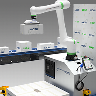 Image of BA Palletizer