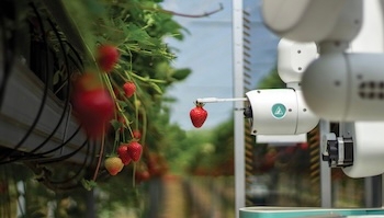 Robotics raises: 6thSense, Dogtooth, Hive, Luffy AI, Mowito