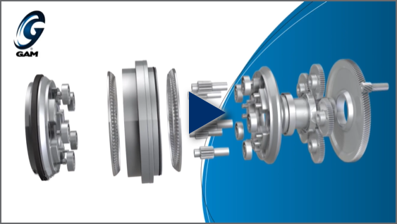 GAM GPL Zero-Backlash Gearbox