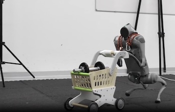 RAMBO Helps Robot Dogs Balance on Hind Legs, While Carrying Objects
