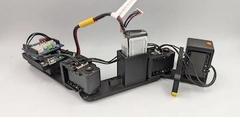 Robot Fish Could Help Us Understand How Fish Evolved to Walk on Land