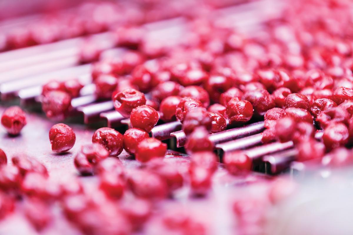 Automation for Food and Beverage Industry image