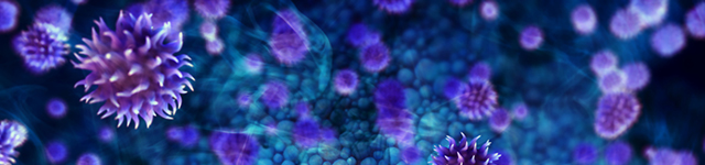 What is Fluorescence Microscopy and 3D Confocal Imaging in Life Sciences Vision?