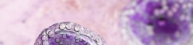 Machine Vision in Life Sciences: Using an Electron Microscope to Create High-Res 3D Images of Cells