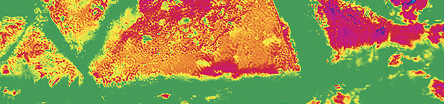 Thumb-Sized Polarization Camera Used to Detect Camouflaged Objects