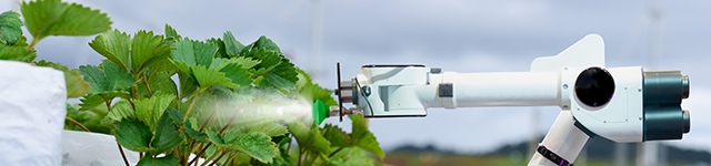 How Do Farmers Use Machine Vision in the Agriculture Industry?