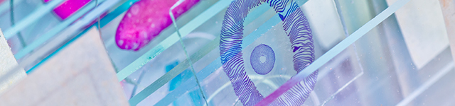 How Lens-free Vision System Technology and Deep Learning Innovations Can Speed Up Medical Diagnostics