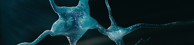 Artificial Intelligence in Digital Pathology: Understanding the Molecular Basis of Diseases