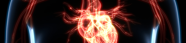 Europe Promotes Research by Providing Access to Biological and Biomedical Imaging Through New Program
