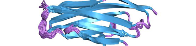 Biologists Employ Machine Learning and Mass Spectrometry Imaging to Map Proteins