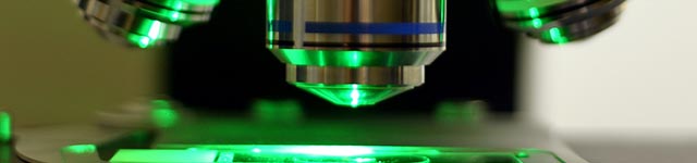 Choosing a CMOS Camera for Fluorescent Microscopy