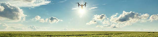 How Life Science Vision Systems Increase the Accuracy of Crop Yield Estimation