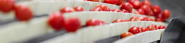 Machine Vision Grows Within the Food and Beverage Industry