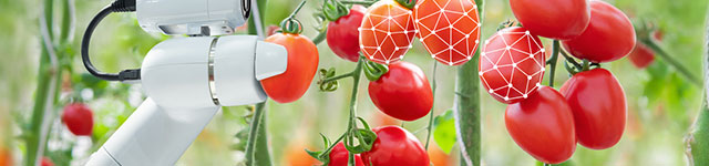 Machine Vision Saving Agriculture: One Crop at a Time