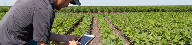 The New Reality of Advanced Agricultural Imaging