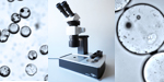 DualStation Stereo Base with Inverse Microscope and Leica M80 image