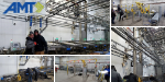 Overcoming Installation Obstacles on a Tight Schedule image