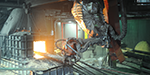 Robots to Extremes image