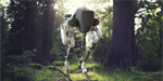 Robotics Clusters the Epicenter for Startups image