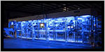 Schneider Packaging Brightens Productivity with Intelligent Illumination™ Technology image
