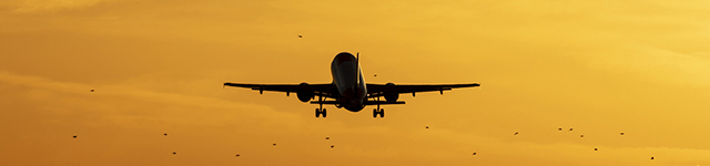 Robot Bird Designed to Keep Airspace Safe