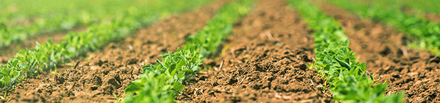 Autonomous Robots Monitor Fertilizer Use in Agriculture