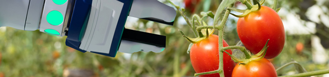 8 Types of Field Robots in Agriculture