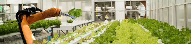Robotics in Agriculture: Types and Applications